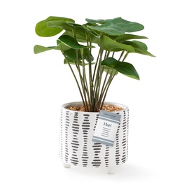 Kunsttaim potis AmeliaHome Flori, pruun/roheline, 230 mm