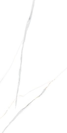 Plytelės, akmens masės Oceano International 8906144562775, 120 cm x 60 cm, balta