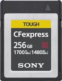 Mälukaart Sony TOUGH, 256 GB