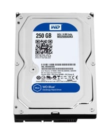 Kietasis diskas (HDD) Western Digital WD2500AAKX-RFB, 3.5", 250 GB
