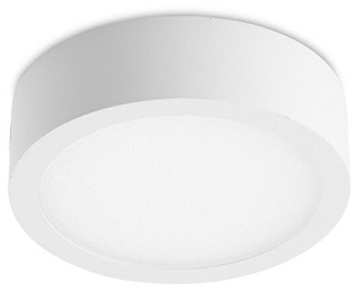 Lampa griesti CristalRecord Kaju, 8 W, LED, 3000 °K