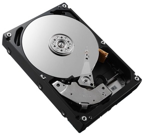 Serverių kietasis diskas (HDD) Dell G2G54, 2.5", 1.2 TB