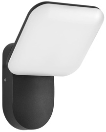 Уличный настенный светильник Italux Nammi, 12Вт, LED, IP54, черный, 15 см x 17.5 см