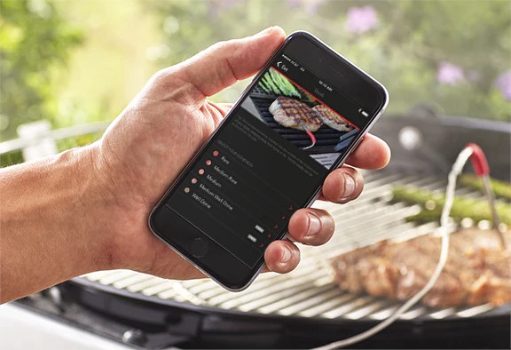 Toidutermomeeter Weber Connect Smart Grilling Hub