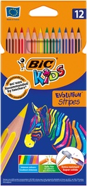 Spalvotieji pieštukai Bic Evolution Stripes, 12 vnt.
