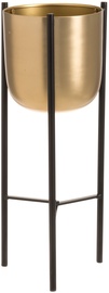 Lillealus 4Living Goldie, 21 cm x 21 cm x 51 cm