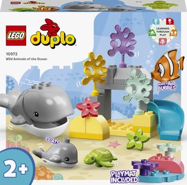 Konstruktor LEGO® DUPLO® Ookeani loomad 10972, 32 tk