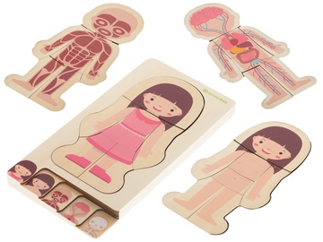 Обучающая игрушка Girl Body 5957, 1.7 см