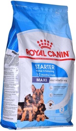 Sausā suņu barība Royal Canin Starter Mother And Babydog Maxi, mājputnu gaļa, 4 kg