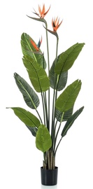 Mākslīgais augs VLX Strelitzia 428469, zaļa/oranža