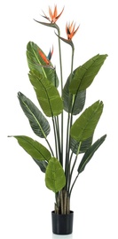 Mākslīgais augs podiņā, strelīcijas VLX Strelitzia 428469, zaļa/oranža, 120 cm