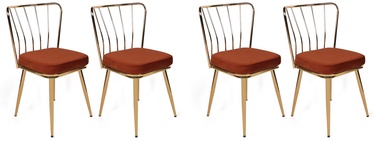 Valgomojo kėdė Kalune Design 925 V4 974NMB1621, blizgi, aukso/raudona, 42 cm x 43 cm x 82 cm, 4 vnt.