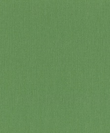 Tapetes Rasch Stock 537178, vinila, zaļa