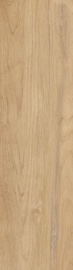 Plaadid Halcon Ceramicas Bosco 8429178310506, kivimassi, 880 mm x 240 mm
