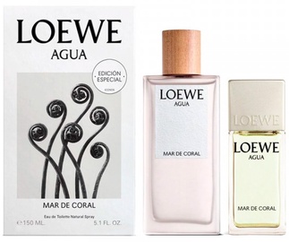 Набор для женщин Loewe Agua, 120 мл