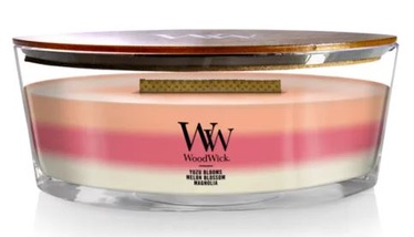 Свеча, ароматическая WoodWick Ellipse Trilogy Blooming Orchard, 40 час, 453.6 г, 92 мм x 121 мм