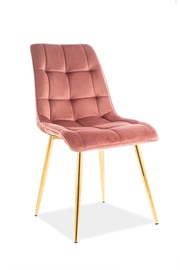 Стул для столовой Chic Velvet, золотой/розовый, 50 см x 43 см x 88 см