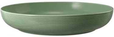 Kauss Seltmann Weiden Beat Salbegrun, roheline, 280 mm, 2.27 l