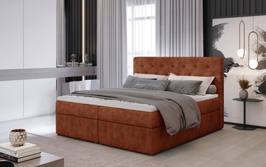 Кровать Loree Dora 63, 160 x 200 cm, светло-коричневый, с матрасом, с решеткой