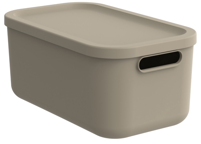 Kaanega hoiukarp Rotho Albula, 12 l, beež, 39.5 x 23.5 x 17.7 cm