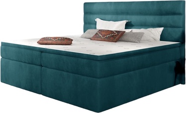Кровать двухместная континентальная Softy Jasmine 85, 180 x 200 cm, синий, с матрасом