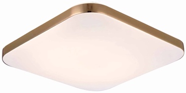 Lampa plafons Light Prestige Babilon LP-335/1C S 4GD square, 18 W, LED, 4000 °K