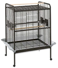 Putnubūris Ferplast Expert 550425, 100 cm x 75 cm x 144 cm