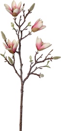 Dirbtinė gėlė, magnolija Splendid Magnolia, ruda/rožinė, 59 cm