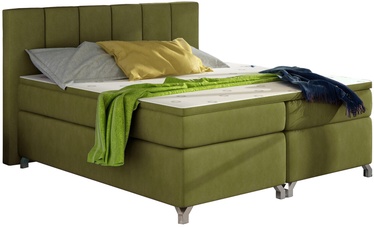 Кровать двухместная Basilio Rivera 36, 160 x 200 cm, зеленый, с матрасом