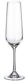 Šampanieša glāze Bohemia Prosecco THK-080173, stikls, 0.2 l
