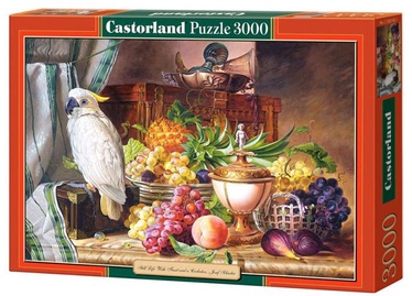 Пазл Castorland Still Life With Fruit And Cockatoo 300143, 68 см x 92 см