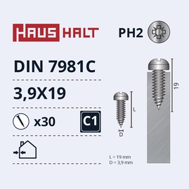 Pašvītņojošā skrūve Haushalt DIN7981C, 3.9 mm x 19 mm, 30 gab.