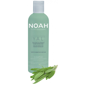 Šampoon Noah YAL Hydrating And Restorative Treatment, 250 ml