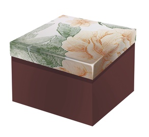 Dāvanu kaste, 13 x 13 cm x 8 cm