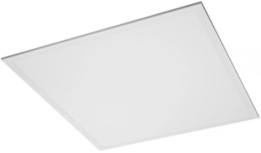 Lampa griesti un sienas GTV King LED Panel, 4000°K, LED, balta