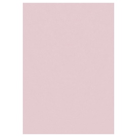 Ковер комнатные Ayyildiz Sky SKY2002905400ROSE, розовый, 290 см x 200 см
