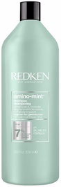 Šampoon Redken Amino Mint, 1000 ml