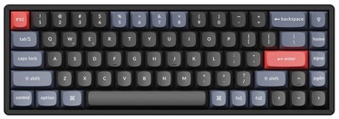 Клавиатура Keychron K6 Pro Hot-Swap Keychron K Pro Mechanical Brown Английский (US), синий/черный/красный
