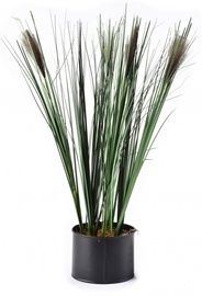 Dirbtinis augalas vazone, žolė Mondex Artificial Flower HTQB3516, ruda/žalia, 54 cm
