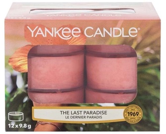 Svece tējas sveces Yankee Candle The Last Paradise, 4 - 6 h, 117.6 g, 12 gab.