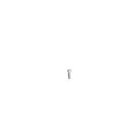 Skrūve Haushalt, 4 mm x 12 mm, 500 gab.
