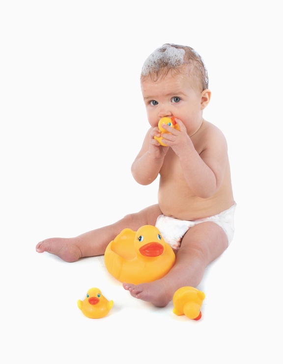 Mänguloom Playgro Duck Family 0187479, 4 tk