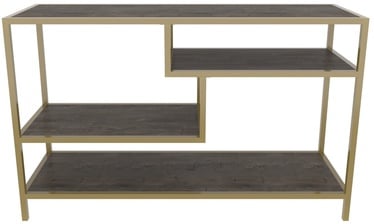 TV-laud Kalune Design Robbins, kuldne/tumehall, 39 cm x 120 cm x 75 cm