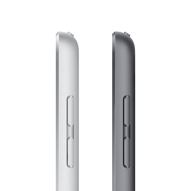 Tahvelarvuti Apple iPad 10.2 (2021), hall, 10.2", 3GB/64GB
