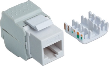 Ühendus Intellinet Self-locking Keystone Cat6 167062, valge/must