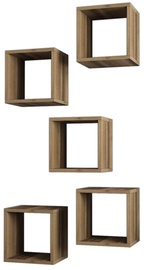 Seinariiul Kalune Design Box, pähklipuu, 30 cm x 30 cm x 24 cm