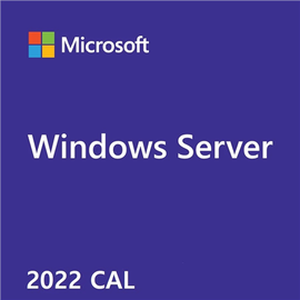 Программное обеспечение для серверов Microsoft Windows Server 2022 CAL 1 Device, 48 TB