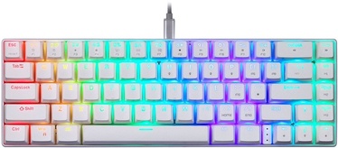 Клавиатура Motospeed CK67 TKL Red EN, белый