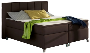 Кровать двухместная Basilio Soft 66, 180 x 200 cm, коричневый, с матрасом