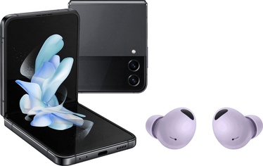 Mobilais telefons Samsung Galaxy Flip 4, pelēka, 8GB/512GB + Samsung Galaxy Buds2 Pro